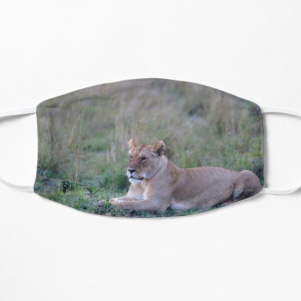Lionness in the cold morning Masque sans plis