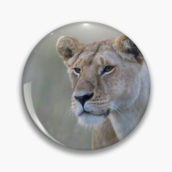 Item preview, lionness designed and sold by Yves Roumazeilles (Wild Focus).
