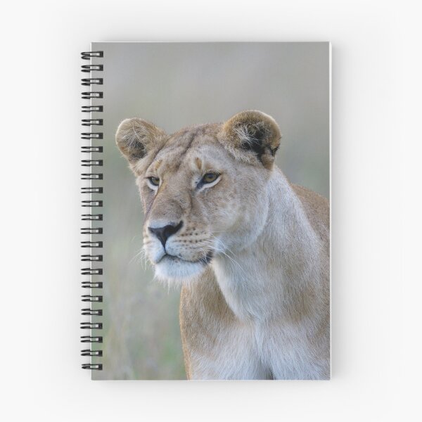 Item preview, lionness designed and sold by Yves Roumazeilles (Wild Focus).