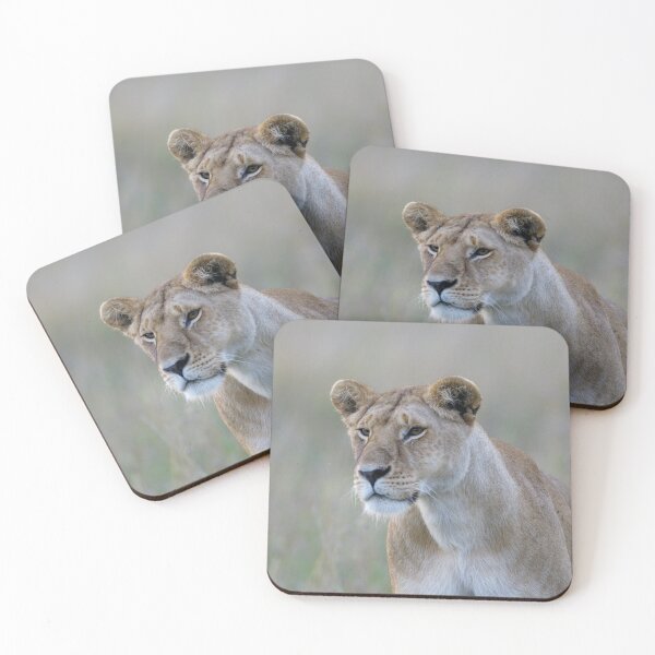 Item preview, lionness designed and sold by Yves Roumazeilles (Wild Focus).