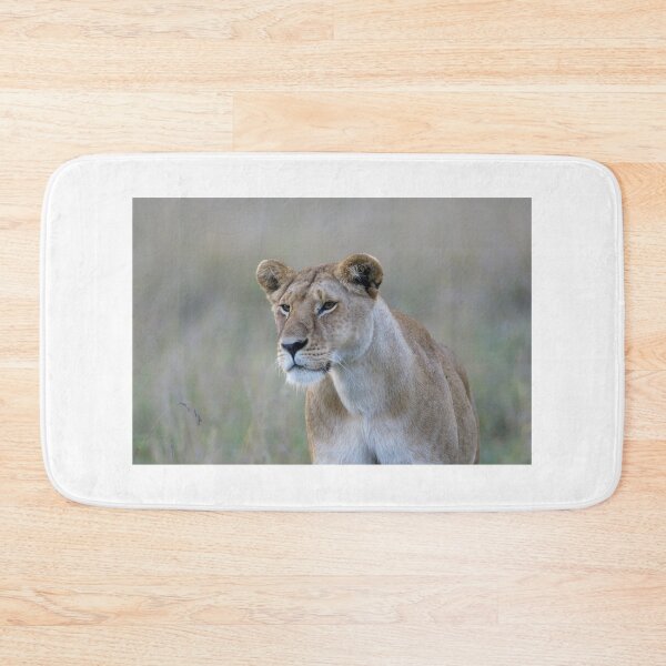 Item preview, lionness designed and sold by Yves Roumazeilles (Wild Focus).
