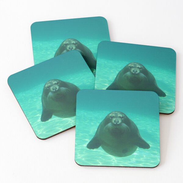 Item preview, Staring Seal designed and sold by Linda Walsh.