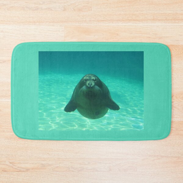 Item preview, Staring Seal designed and sold by Linda Walsh.