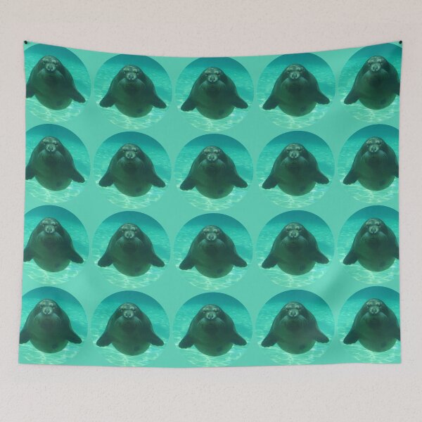 Item preview, Staring Seal designed and sold by Linda Walsh.