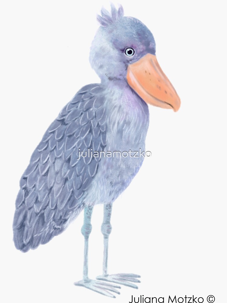Shoebill Stork by julianamotzko
