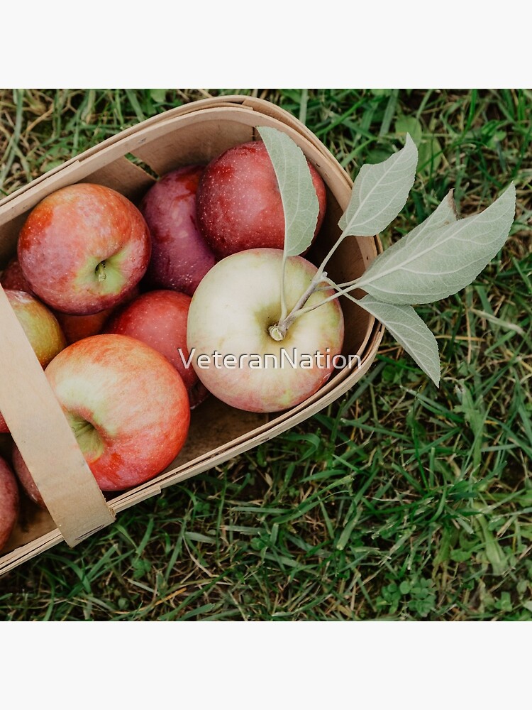 " behinderter Veteran und seine Familie! Foto von