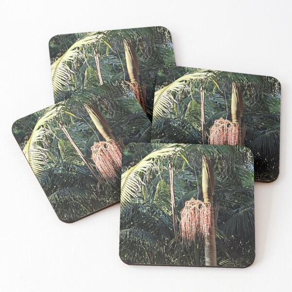 Item preview, Palm Trees, Palm Tree Fruit designed and sold by worldways.