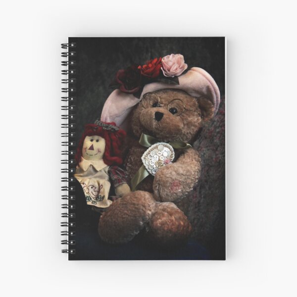 BFFs: Teddy Bear and Raggedy Ann Spiral Notebook