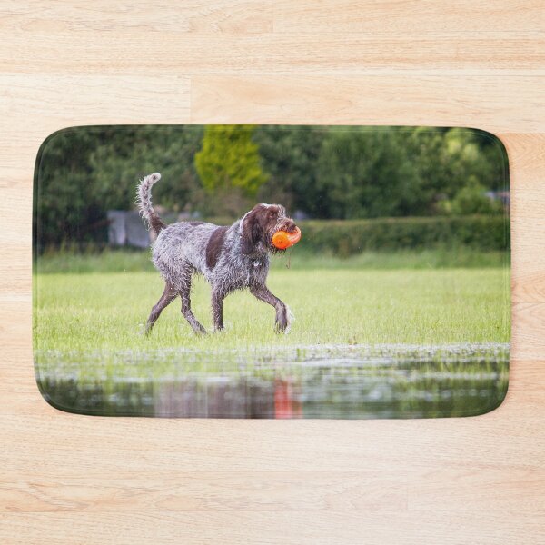Item preview, Retrieving a dummy Spinone by heidiannemorris designed and sold by FOLK ART FUSION by heidiannemorris.
