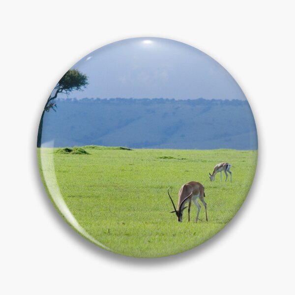 Item preview, Sun on the savanah after the rain designed and sold by Yves Roumazeilles (Wild Focus).