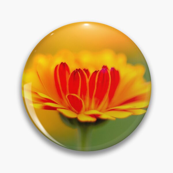 Item preview, Marigold mornings and wildflower afternoons designed and sold by FOLK ART FUSION.