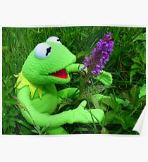 Orchid Getuepfeltes Frog Kermit Green Poster