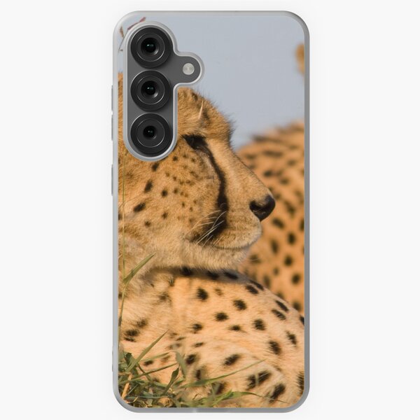 Item preview, Les frères Cheetah se prélassant au soleil designed and sold by Yves Roumazeilles (Wild Focus).