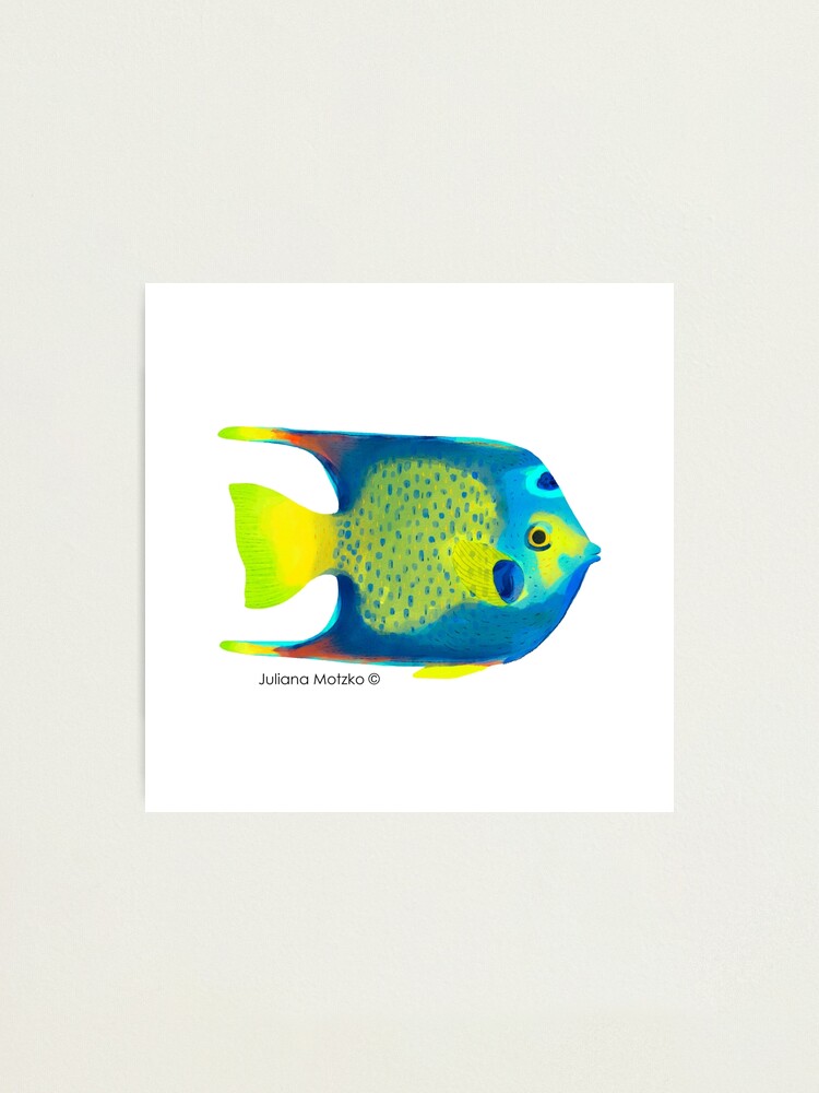 Alternate view of Angelfish Photographic Print