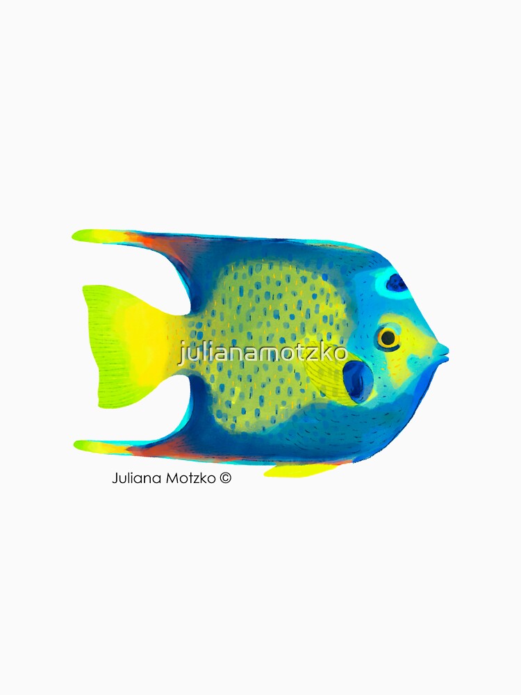 Angelfish by julianamotzko