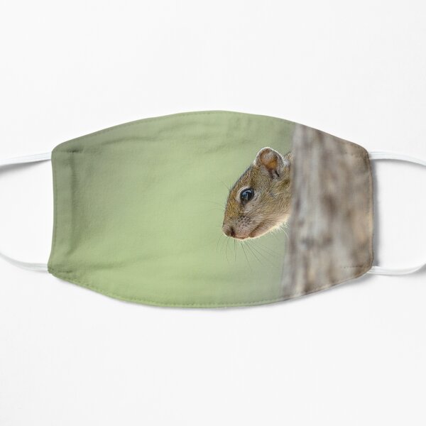 Squirrel - Ardilla - Ecureuil Flat Mask