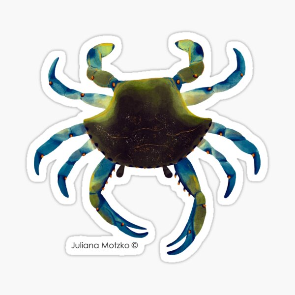 Blue Crab Sticker