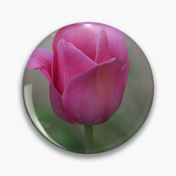 Aperçu de l'œuvre Tulipe rose foncé créée et vendue par ReneeKennedy.