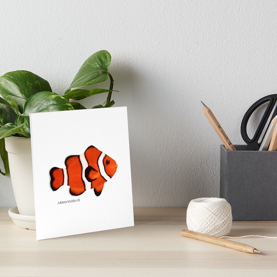 Clownfish Art Board Print