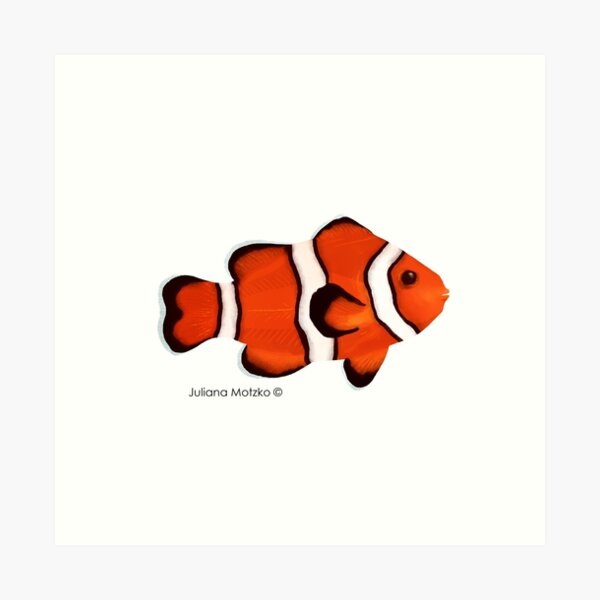 Clownfish Art Print