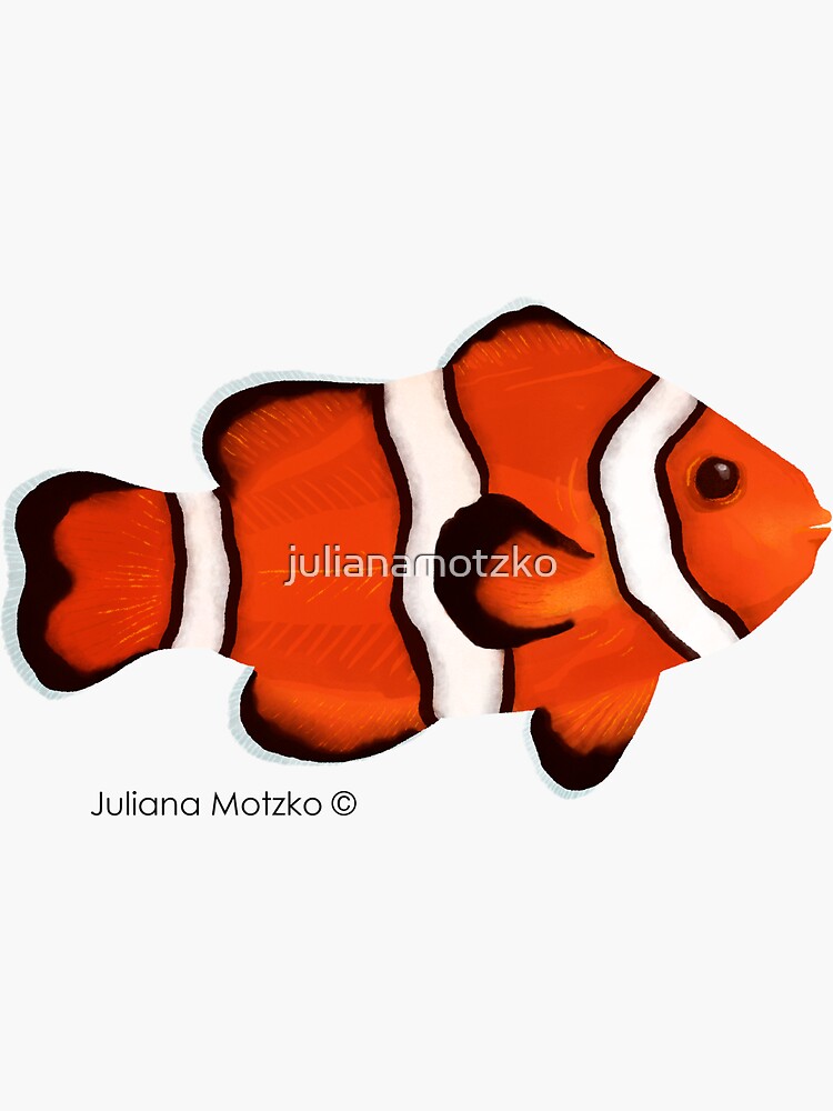Clownfish by julianamotzko