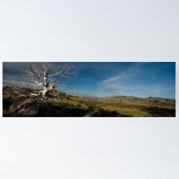 Item preview, The Rooster Tree Thredbo designed and sold by Mark Higgins.