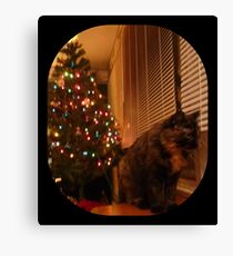 Christmas Kitty Waiting for Santa Canvas Print