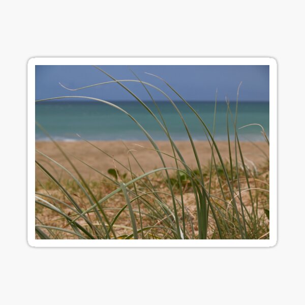 Seagrass Sticker