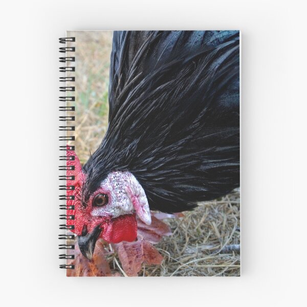 Item preview, Rooster Rooster Cock-A-Doddle-Do designed and sold by IMAGETAKERS.