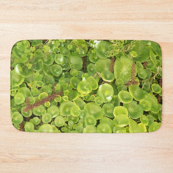 Item preview, green designed and sold by Boscastle.