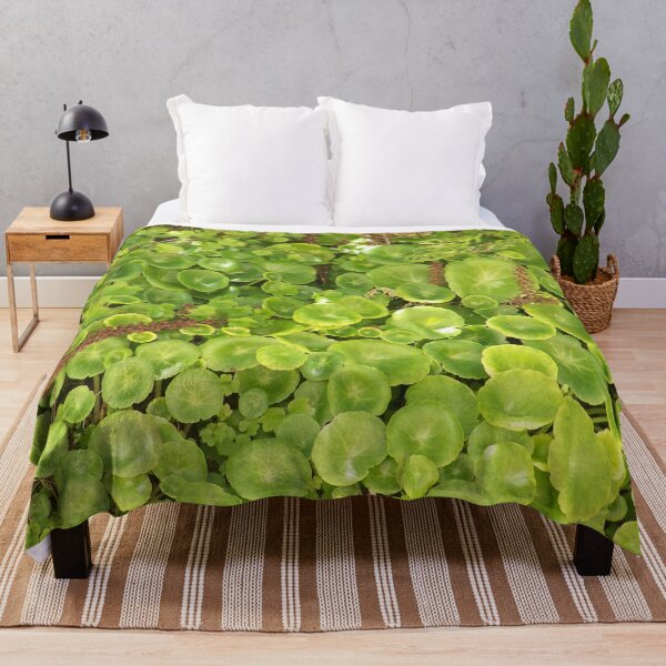 Item preview, green designed and sold by Boscastle.