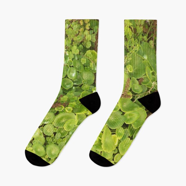 Item preview, green designed and sold by Boscastle.