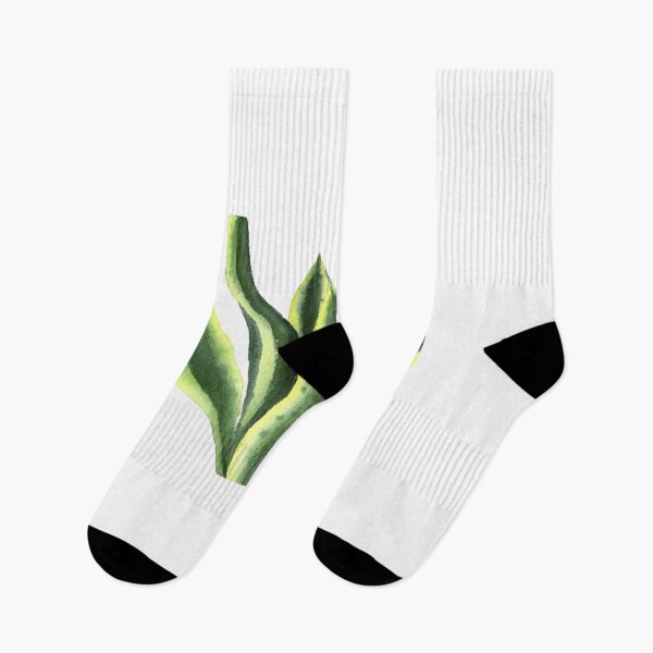 Item preview, Snake Plant watercolor designed and sold by mhailittlearts.