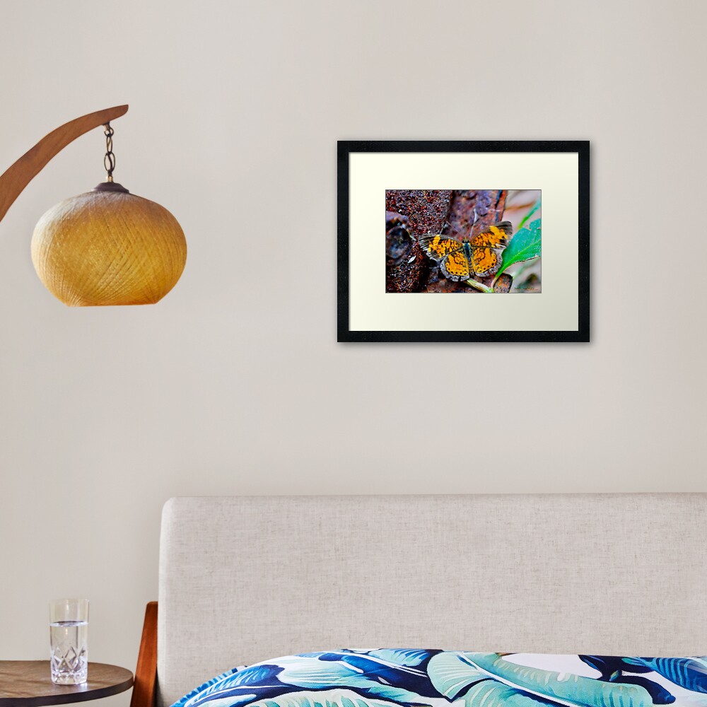 Item preview, Framed Art Print designed and sold by michaelasamples.
