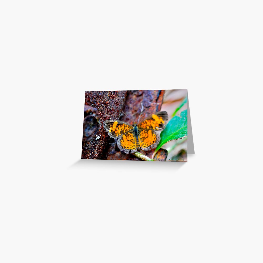 Item preview, Greeting Card designed and sold by michaelasamples.