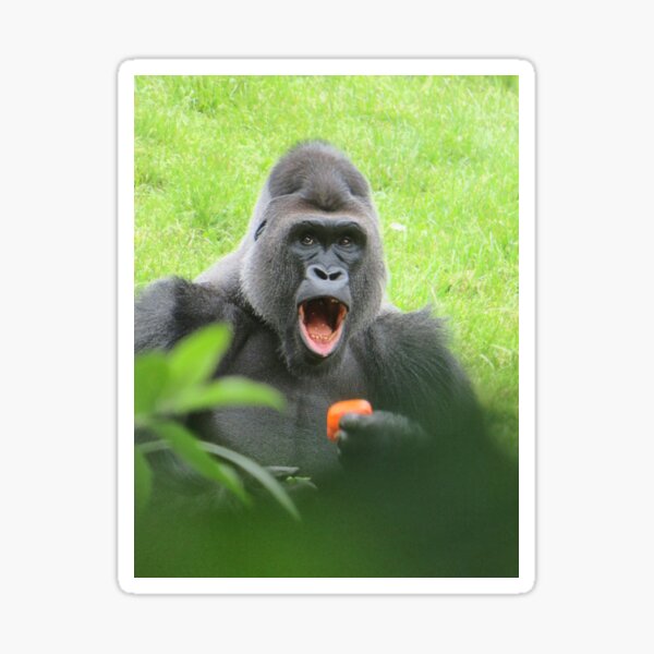 Red Gorilla Gifts Merchandise Redbubble - purple gorilla green teeth roblox