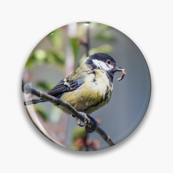 Item preview, Great Tit designed and sold by DougieHaworth.