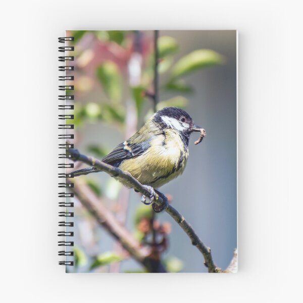 Item preview, Great Tit designed and sold by DougieHaworth.