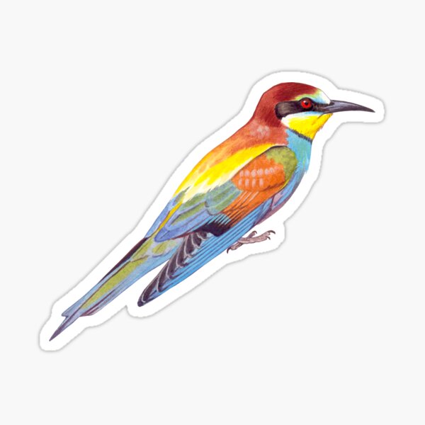 European Bee-eater Sticker