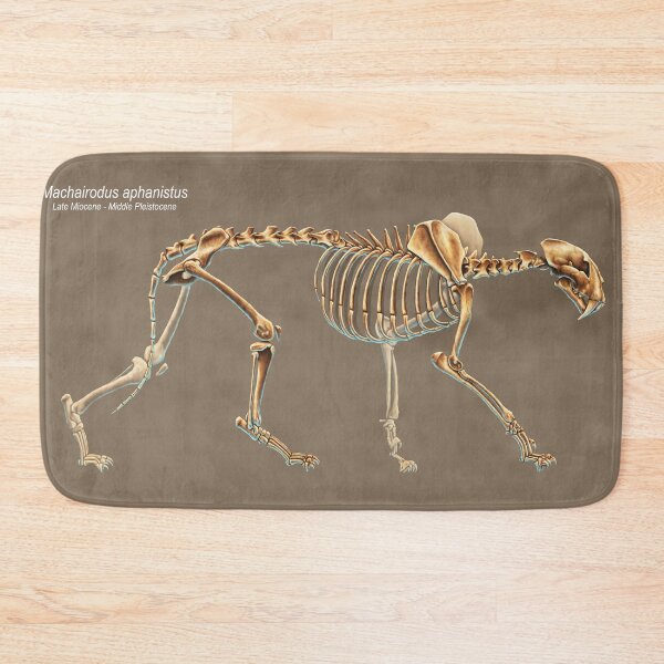 Item preview, Machairodus Aphanistus Skeleton Study (No Labels) designed and sold by Thedragonofdoom.