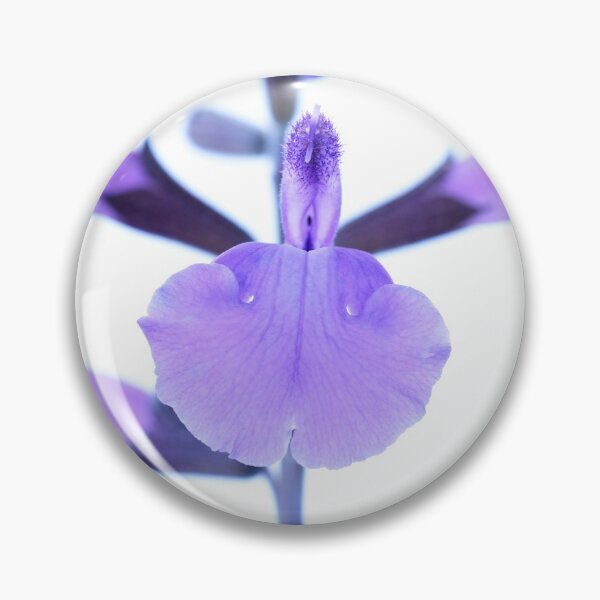 Artikelvorschau, Salvia & amp; # 39; Lavender Dilly Dilly & amp; # 39; Salbei entworfen und verkauft von Chris Burrows.