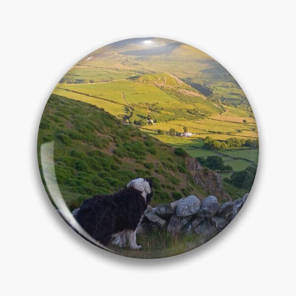Item preview, Laddie Come Home. designed and sold by Michael Haslam.