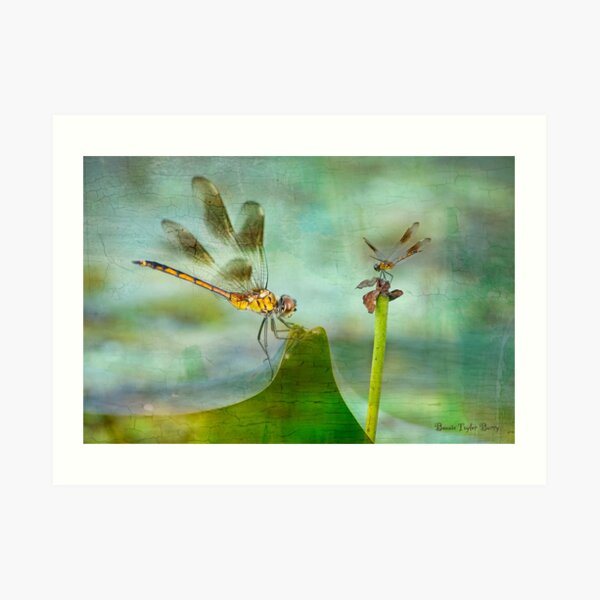Dragonfly Fantasy Art Print