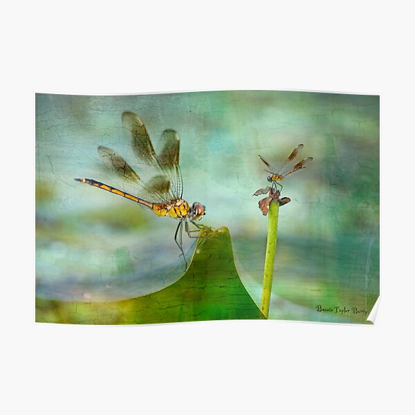 Dragonfly Fantasy Poster