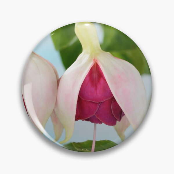 Item preview, Fuchsia  'Seventh Heaven'  designed and sold by Chris Burrows.