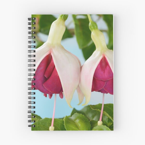 Item preview, Fuchsia  'Seventh Heaven'  designed and sold by Chris Burrows.
