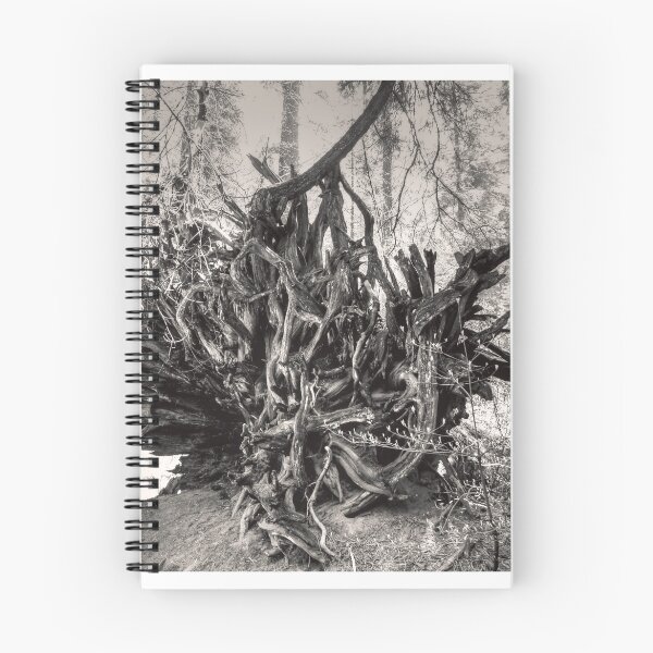 Item preview, Roots designed and sold by Diego Re.