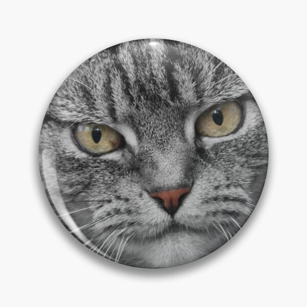 Item preview, Tabby Cat Face Photography designed and sold by simpsonvisuals.