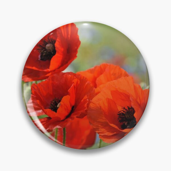 Item preview, Stunning Poppies designed and sold by lynn carter.
