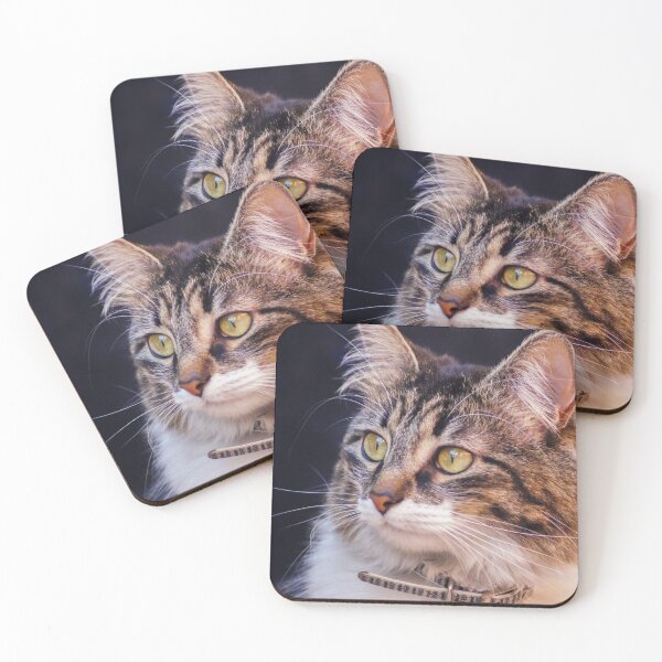 Item preview, kli meal time designed and sold by pcfyi.